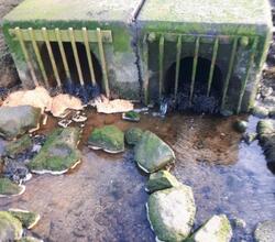 Sewage discharges from Combined Sewage Overflow into the bay are concerning councillors.