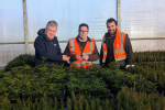 Rodney Shearer (left) and Craig Shearer (right) giving Craig Hoy MSP a tour of Elsoms Trees nursery in East Lothian